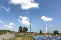 EVN muốn thoái hết vốn tại CTCP Phong điện Thuận Bình 