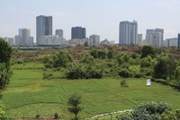 Cổ phần hóa chậm, doanh nghiệp kêu “tắc” về đất đai 