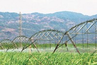 Mía đường Sơn La (SLS): Lợi nhuận quý I năm tài chính 2020 giảm mạnh