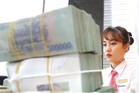 Điều mà các ngân hàng cần là những chính sách ưu đãi cụ thể hơn cho các ngân hàng khi tham gia vào chương trình thúc đẩy tín dụng xanh.