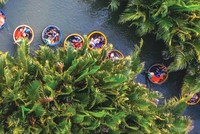 Dư nợ tín dụng xanh đang tăng tốc