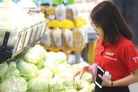 Nhiều dự án xanh sẽ hỗ trợ hoạt động tín dụng của ngân hàng.