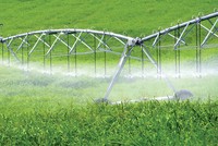 BAC A BANK: Chiến lược phát triển gắn liền tín dụng xanh 