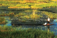 Hỗ trợ giảm nghèo bền vững và nền kinh tế “xanh”