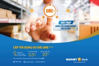 BAOVIET Bank triển khai gói tín dụng 1.500 tỷ đồng hỗ trợ doanh nghiệp SME