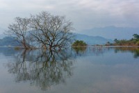 Vườn quốc gia Vũ Quang (Hà Tĩnh).