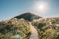 Cỏ lau nở trắng trời ở Vạn Lý Trường Thành phiên bản Việt