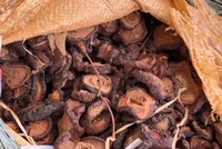 20 tấn dược liệu được nhập lậu từ Trung Quốc.