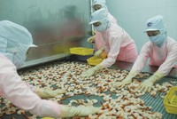 MPC đầu tư thêm 280 tỷ đồng vào Minh Phú - Lộc An