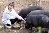 Zhang Zhiyuan. Ảnh: Sinchew.