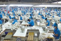 TNG giữ vững ngọn cờ tăng trưởng bền vững