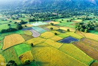 'Bức họa đồng quê' Tà Pạ nhìn từ trên cao