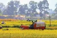 Tháo gỡ rào cản tích tụ đất đai cho doanh nghiệp 