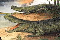 Cá sấu caiman tiền sử nặng ngang voi châu Á ngày nay. Ảnh: AFLY.