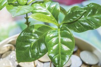 Đầu tư kinh doanh bền vững: Mệnh lệnh từ thực tế