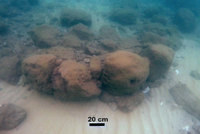 Dấu vết đổ nát của tường chắn sóng cổ đại. Ảnh: Newsweek.