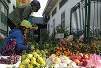 Sạp trái cây trên đường Lê Đức Thọ (Gò Vấp). Ảnh: Hồng Châu.