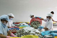 Kim ngạch xuất khẩu thủy sản năm 2029 đạt trên 8,6 tỷ USD