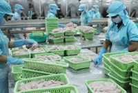 Doanh nghiệp thủy sản tìm “vận đỏ” 2020