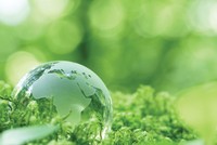 Rủi ro môi trường và túi tiền doanh nghiệp