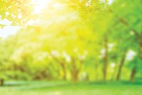 Lan tỏa những giá trị xanh đến cộng đồng 