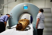 Xác ướp thầy tu Nesyamun được chụp CT. Ảnh CNN