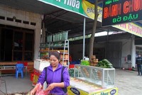 Làng bánh chưng Bờ Đậu là một trong 5 làng làm bánh chưng nổi tiếng nhất khu vực miền Bắc. (Ảnh: HV/Vietnam+).