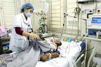 Ảnh minh họa. (Nguồn: TTXVN).