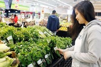 Ảnh minh họa. (Nguồn: TTXVN).