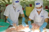 Hoạt động xuất khẩu thủy sản và bán thủy sản nội địa của HVG đều giảm.