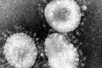 Ảnh minh họa. (Nguồn: north-africa.com).