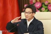 Phó Thủ tướng Vũ Đức Đam phát biểu. (Ảnh: Doãn Tấn/TTXVN).