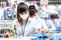 Chuẩn bị phương án cho kịch bản có thể xấu hơn