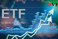 VFM sắp IPO quỹ ETF dựa trên chỉ số Vietnam Diamond Index