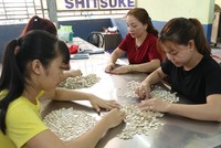 Thăm nhà máy của “Vua nút áo” làm từ vỏ sò, ngọc trai