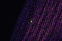 Đợt bùng phát tia X từ hố đen MAXI J0637-430 do thiết bị REXIS ghi lại. Ảnh: NASA.