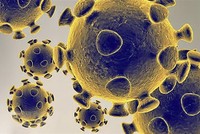 Hình ảnh do Cơ quan dược phẩm và thực phẩm Mỹ cung cấp về virus SARS-CoV-2 gây dịch viêm đường hô hấp cấp COVID-19. (Ảnh: AFP/TTXVN).