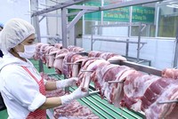 Sản phẩm thịt lợn sau khi chế biến được để trên giá đảm bảo vệ sinh thực phẩm. (Ảnh: Vũ Sinh/TTXVN).