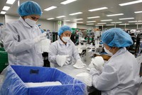 Ông Dominic Scriven: Việt Nam có thể thực thi nhiều hơn các giải pháp hỗ trợ