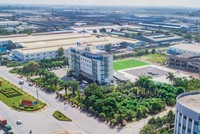 Chủ tịch KBC: Tập trung vào những gì mình giỏi nhất, rủi ro sẽ ít đi