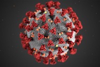 Hình minh họa cấu trúc 3D của virus SARS-CoV-2. Ảnh: CDC.