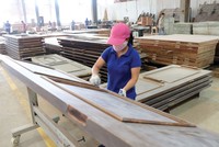 Ngành gỗ đối mặt với thách thức lớn nhất trong lịch sử