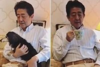 Thủ tướng Nhật Bản Shinzo Abe chơi với cún cưng và uống trà trong video kêu gọi người dân ở nhà. Ảnh chụp màn hình.