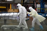 Nhân viên y tế chuyển thi thể bệnh nhân COVID-19 tại New York, Mỹ ngày 9/4/2020. (Ảnh: AFP/TTXVN).