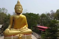 Đàn ong làm tổ dưới cằm tượng Phật cao 16 mét