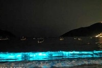 Bờ biển thuộc vịnh Puerto Marqués, bang Guerrero, Mexico bỗng nhiên rực sáng.