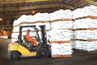 Năm 2019, PVFCCo đã cung ứng hơn 1 triệu tấn phân bón, hóa chất.