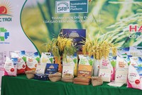 Tập đoàn Lộc Trời (LTG) gia hạn kế hoạch lên sàn đến năm 2022