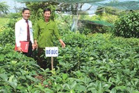 Agribank giữ vững “trận địa” nông thôn, vùng sâu, vùng xa