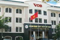 Đã có Ngân hàng Phát triển Việt Nam sử dụng công cụ bảo lãnh tín dụng để bảo lãnh cho các ngân hàng khi cho vay các doanh nghiệp nhỏ.